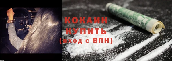 молекула духа Гусиноозёрск