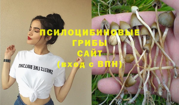 прущая мука Гусев