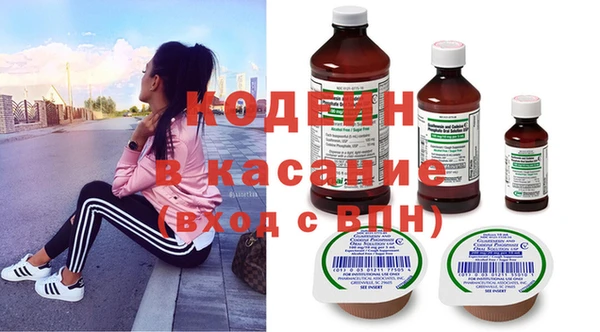дживик Бронницы