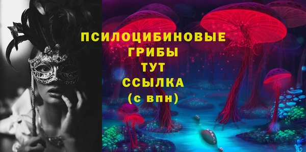мяу мяу мука Горняк